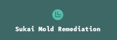 Sukai Mold Remediation – Mold Remediation Service